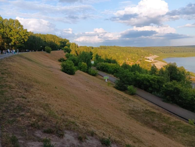 Зелёная, зелёная трава... почему не растёт на томских газонах?